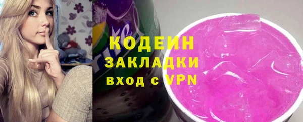 индика Дмитровск