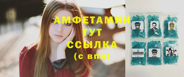 индика Дмитровск