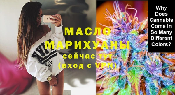 индика Дмитровск