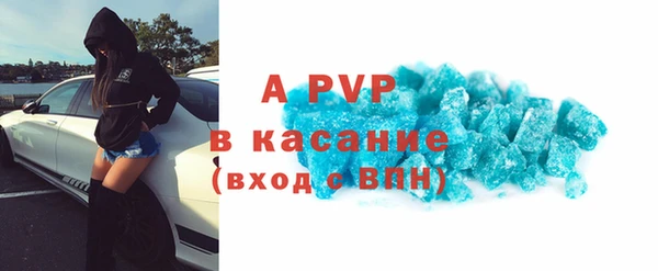 индика Дмитровск