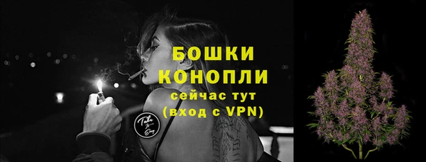 индика Дмитровск