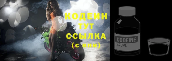 индика Дмитровск