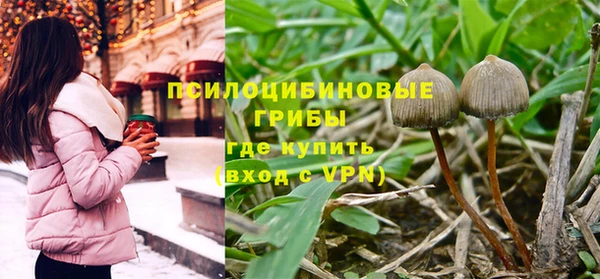 индика Дмитровск