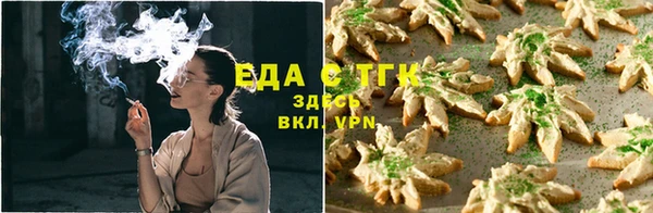 индика Дмитровск