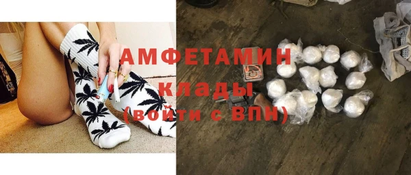 индика Дмитровск